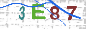 Please enter the letters in the image into the field below, then click the Submit button.