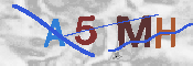 Please enter the letters in the image into the field below, then click the Submit button.
