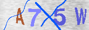 Please enter the letters in the image into the field below, then click the Submit button.
