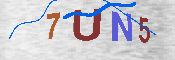 Please enter the letters in the image into the field below, then click the Submit button.