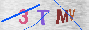 Please enter the letters in the image into the field below, then click the Submit button.