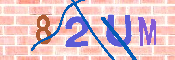 Please enter the letters in the image into the field below, then click the Submit button.
