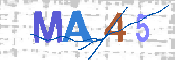 Please enter the letters in the image into the field below, then click the Submit button.