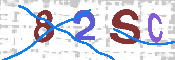 Please enter the letters in the image into the field below, then click the Submit button.
