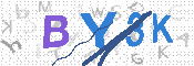 Please enter the letters in the image into the field below, then click the Submit button.