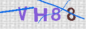 Please enter the letters in the image into the field below, then click the Submit button.