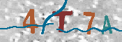 Please enter the letters in the image into the field below, then click the Submit button.