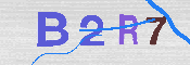 Please enter the letters in the image into the field below, then click the Submit button.